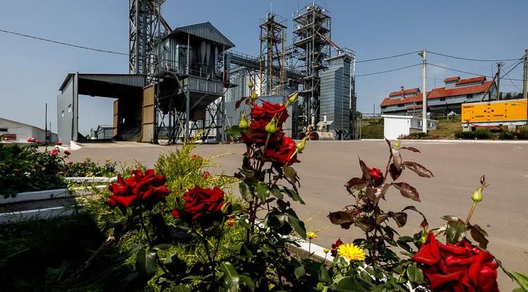Участники Белгородской СЭЗ за полгода сэкономили 700 млн рублей на налогах и взносах