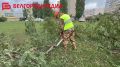 � ��������� ��������� ����������� ��������� ��������