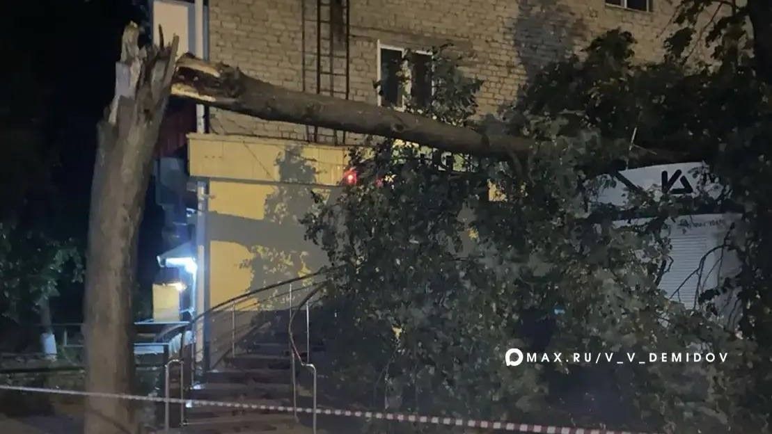В Белгороде устраняют последствия сильного ветра