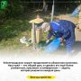 В Белгородском округе продолжается уборочная кампания
