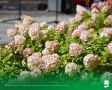 27 сентября. Температура воздуха 17°C, переменная облачность, кратковременные дожди