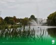 28 ��������. ����������� ������� 19�C, ���������� ����������, ��������������� �����