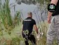 ���� ������� ��������������: ���������� �������������� ������� ��������� � ����������������� ������