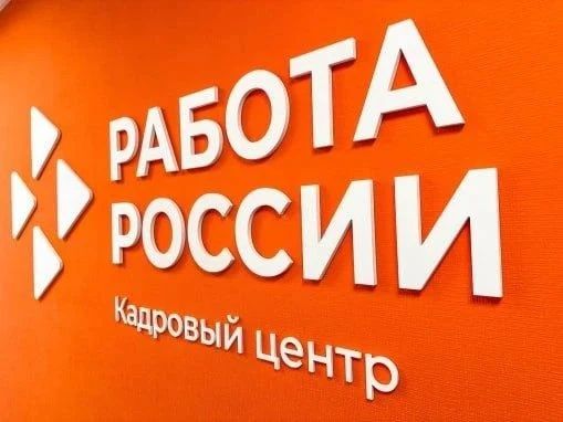 В 2026 году служба занятости населения Белгородской области помогла 33 молодым специалистам получить опыт работы