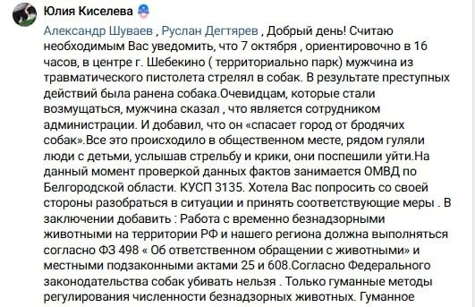 В Шебекино сотрудник администрации ранил собаку в центре города: идёт проверка