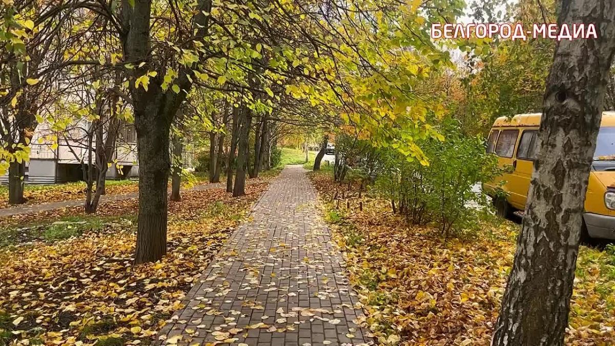 Октябрь в Белгороде может стать одним из самых тёплых за всю историю наблюдений