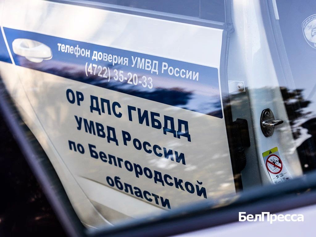 В Белгородской области погибли водитель и пассажирка авто. Трагедии случились 22 октября в Шебекинском и Волоконовском округах