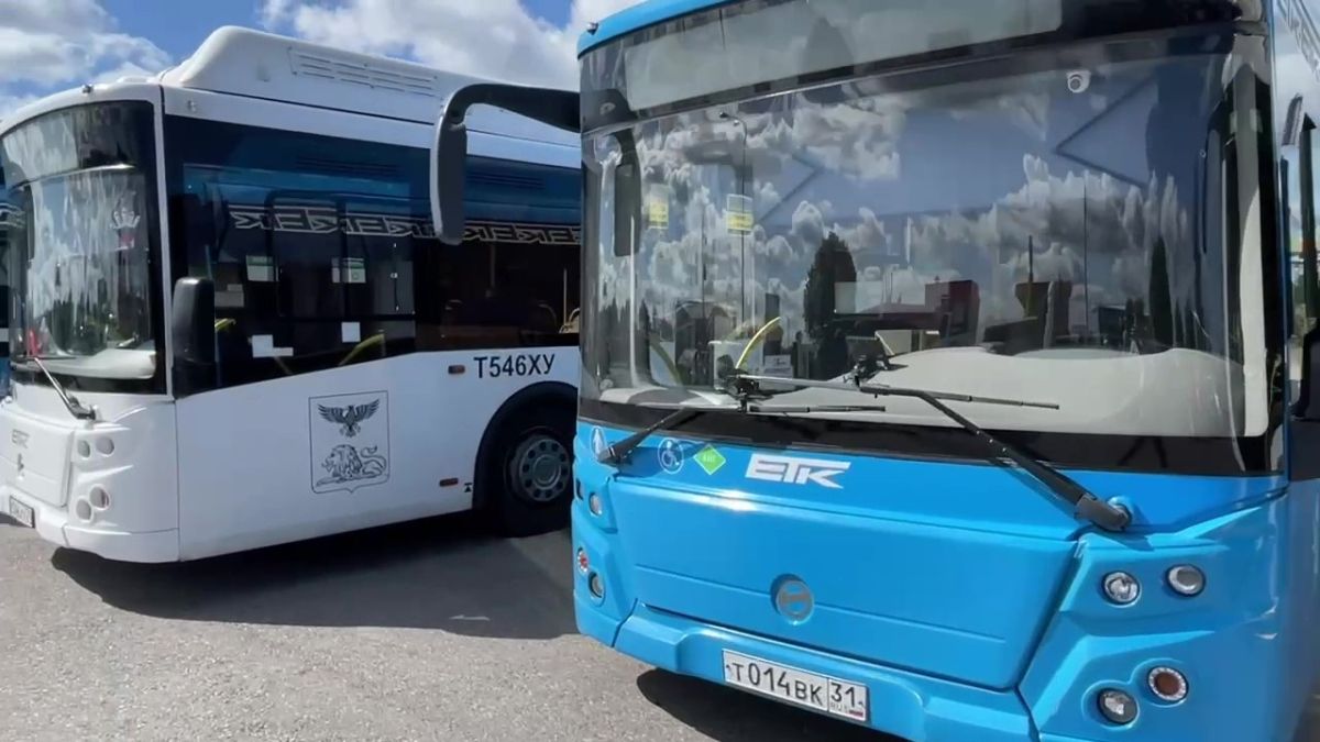 Дачные автобусные маршруты в Белгородской области завершают работу