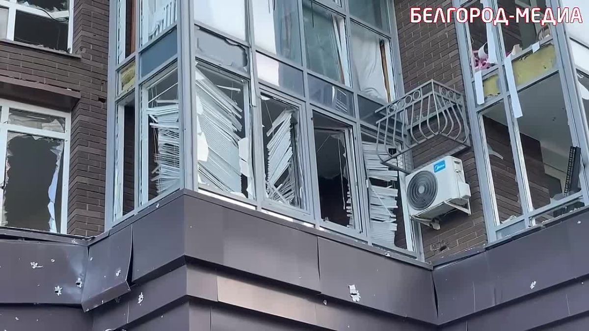 «В один момент жужжание стало ближе…»