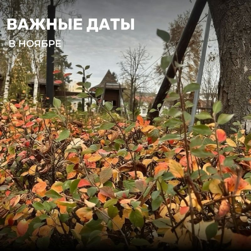 Уже совсем скоро наступит последний осенний месяц — ноябрь!