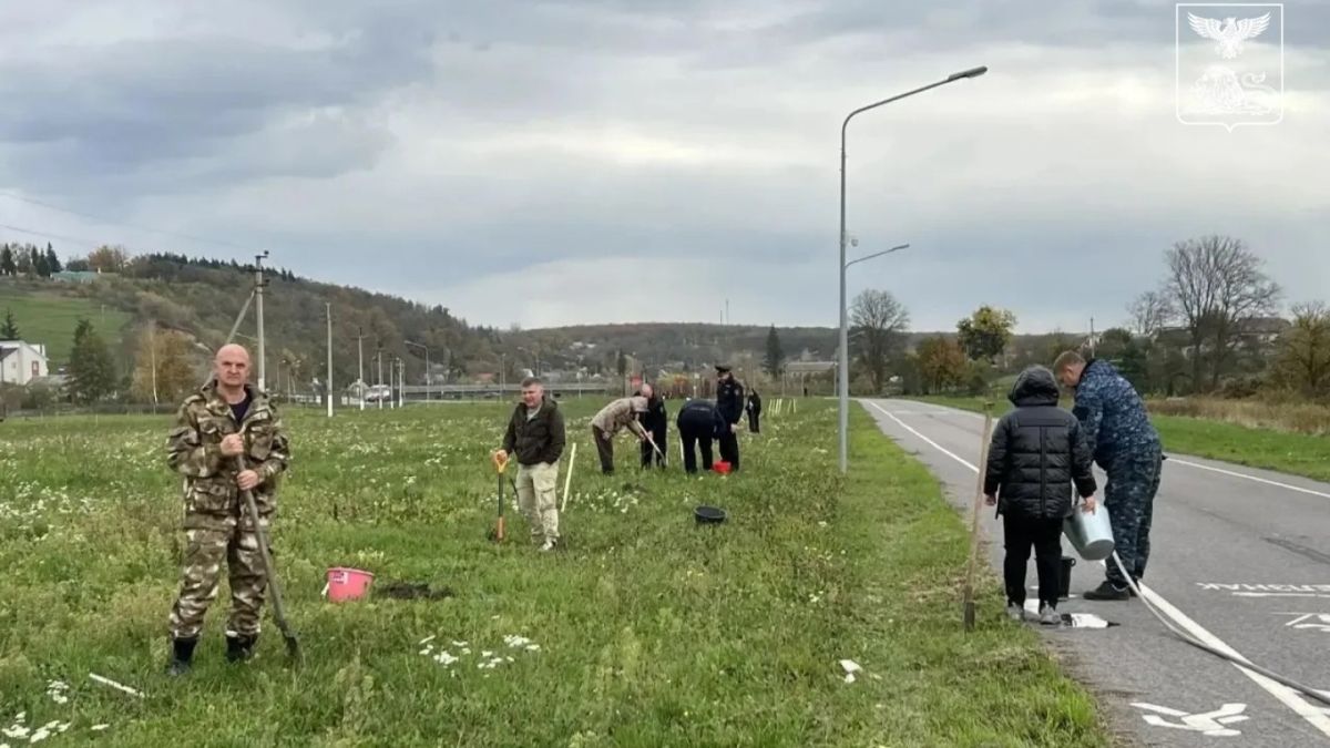 В Борисовском округе высадили саженцы в рамках акции «Сохраним лес»