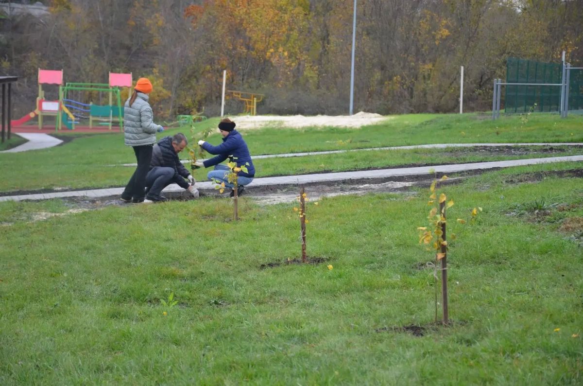 В рекреационной зоне у Железнодорожного пруда в посёлке Пролетарском высадили саженцы берёзы