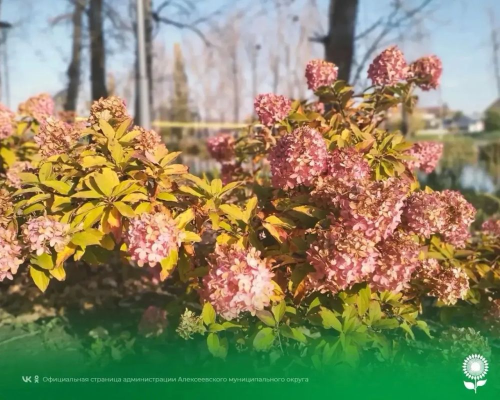 28 октября. Температура воздуха 14°C, переменная облачность, без осадков