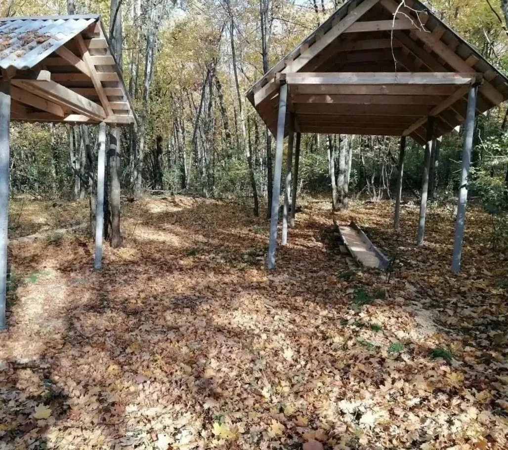 В заказнике «Триречье» появились новые подкормочные площадки