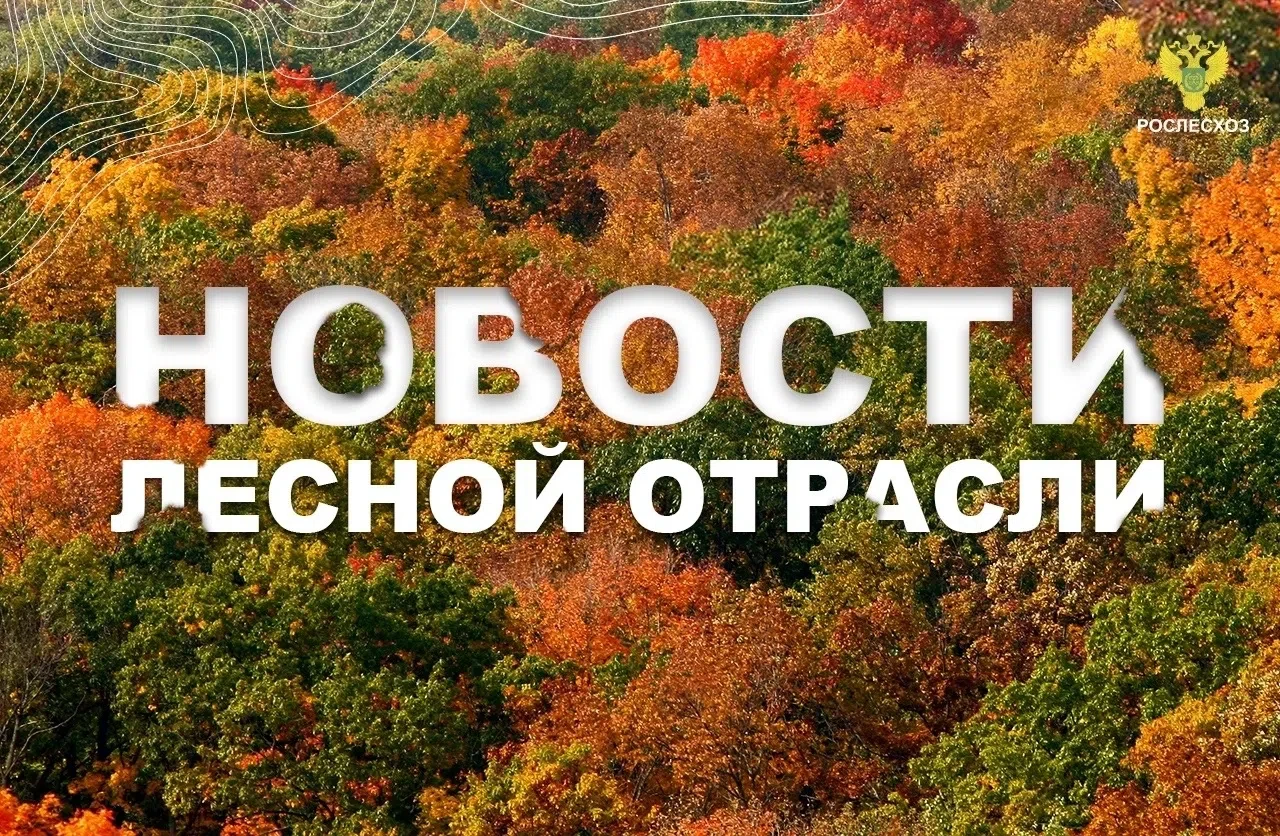 Российская газета: Рослесхоз: В регионах России сохраняются риски лесных пожаров