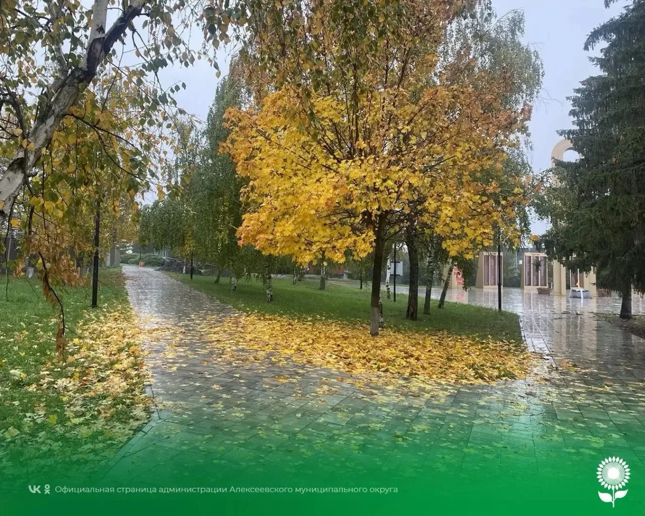 30 октября. Температура воздуха 15°C, переменная облачность, без осадков
