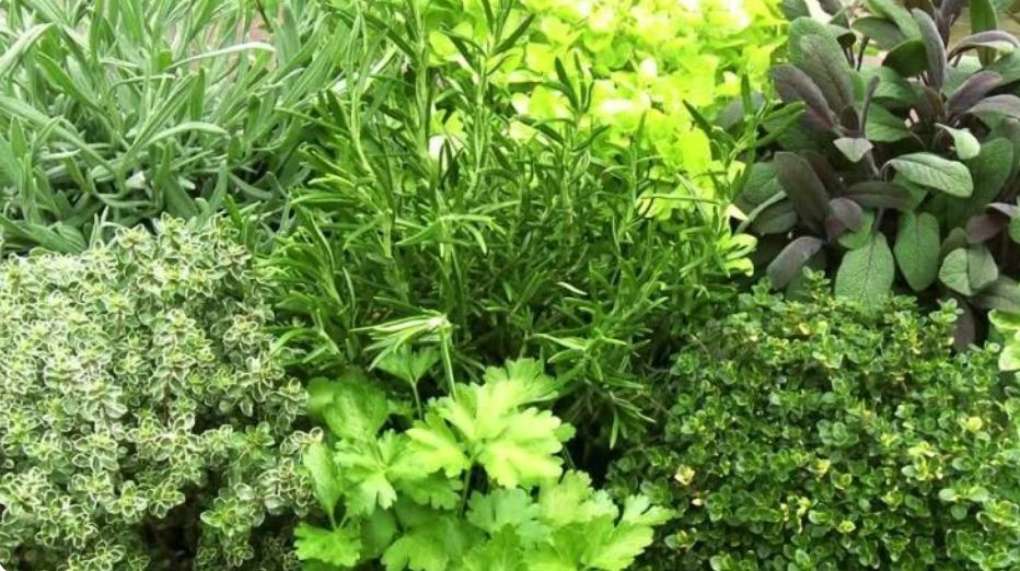 ���������� ������� � �������: ������� ������