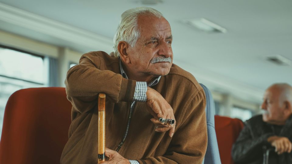 ��� ����� ���������� ������ �� ������ ���������� ������ � 2025 ����