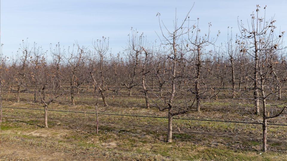 ��� ������ �������� ��� �� ����������: ������� ������������ ���������