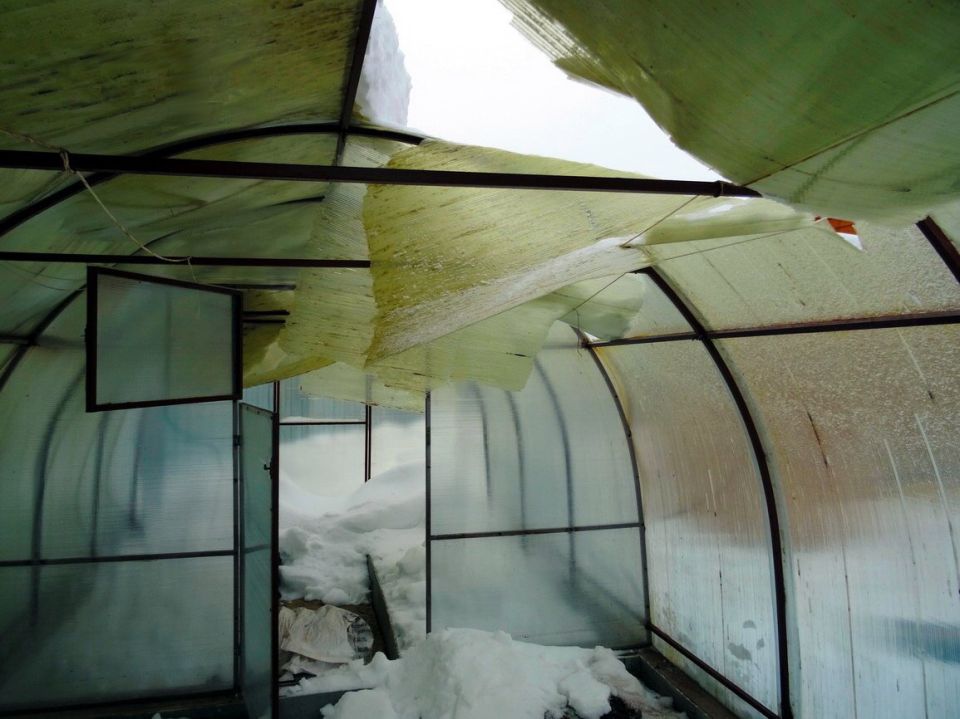 ��� ���������������� ������ ��������, ������� ��������� ���� ������ ��������������� ������