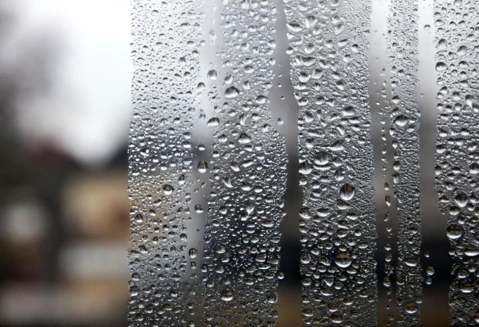 �� ����� ���������� ��������� ���� ������������: ������� ������ �� ������ � ������