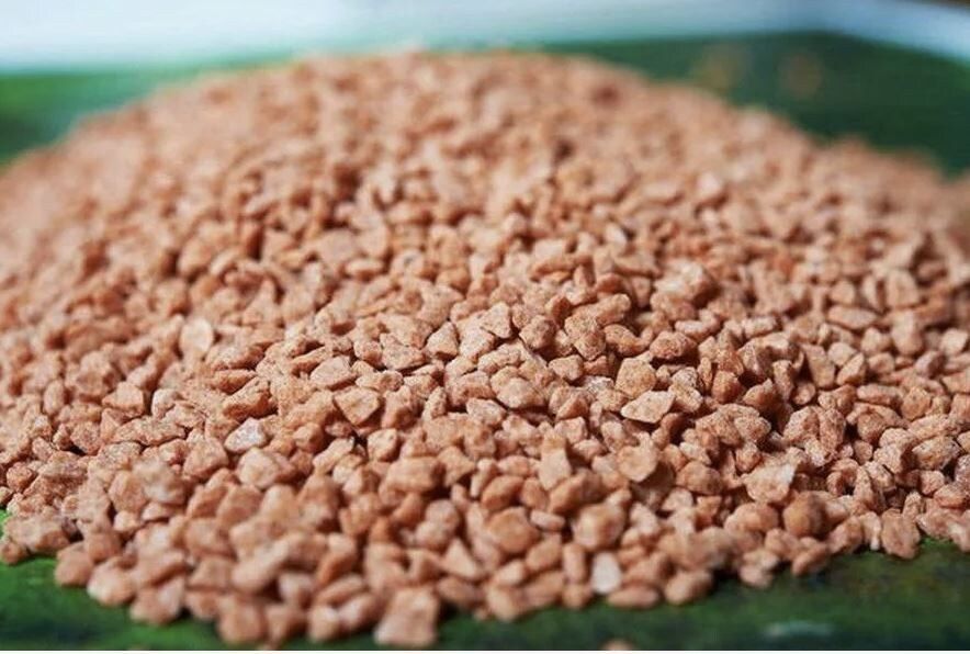 Август: важный месяц для ваших растений