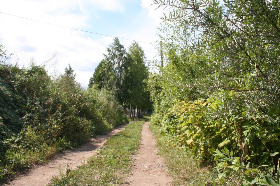 Как расстояние до дачи влияет на вашу дачную жизнь в 2026 году?