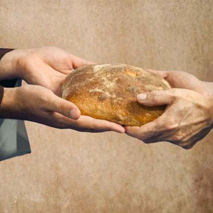 Почему стоит пересмотреть отношение к хлебу и его роли в нашем рационе