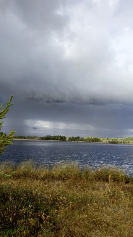 Тайны карельских болот: как клюква становится драгоценным трофеем