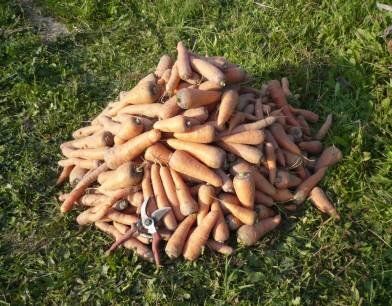 ������� �� ������: ������� ��������� ������ �� ������� �����������