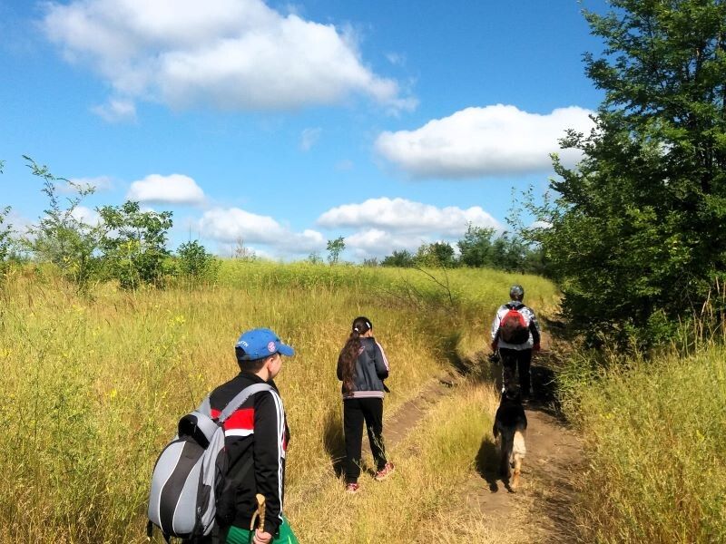 ��� ���� ���� ������ ����������� � �������� � ���������� ����������