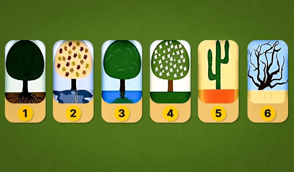 ��� ������� ��������� ���� ��������: ��������� ��������������� ����