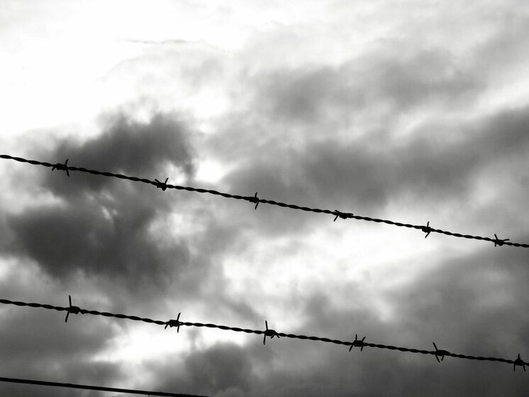 Иркутск на слуху: кафе оказались в центре громкого скандала из-за отравления гостей