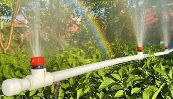 ��� ������� ����������� ����� ������: ����������� ����������� �� ���-����