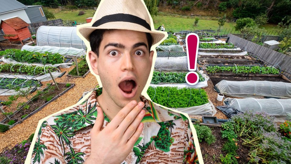 ��� 3 ������ ��������� � ���� ������� �������: ��� ��� ���� �����������