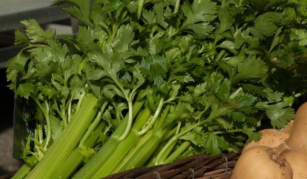 ��� ��������� ��������� �� ����: ������ �� �������� ��� ���� �����