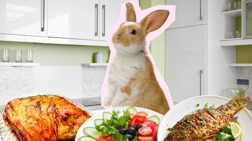 ����� ��365 ���� �������������: �������� ������ ���� ������� ��� �����