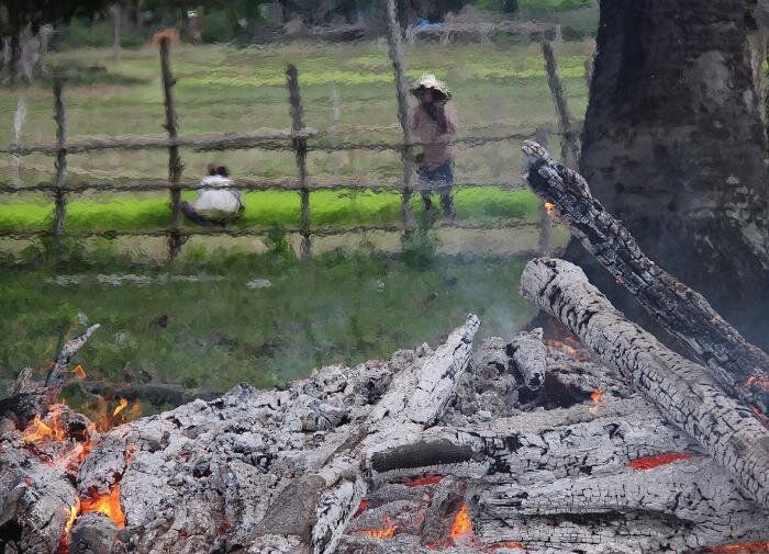 ��� ���� ����� ����� �������� ������ ����: �������� ������