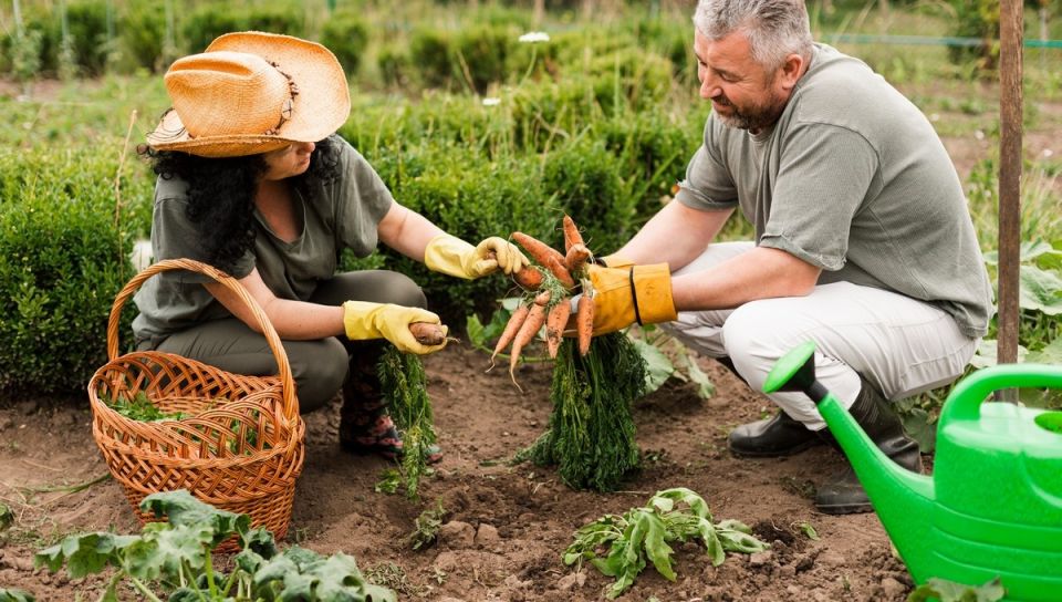 ����� ������� ��� ��������: ��� ������ ��������� ������� � 2026 ����