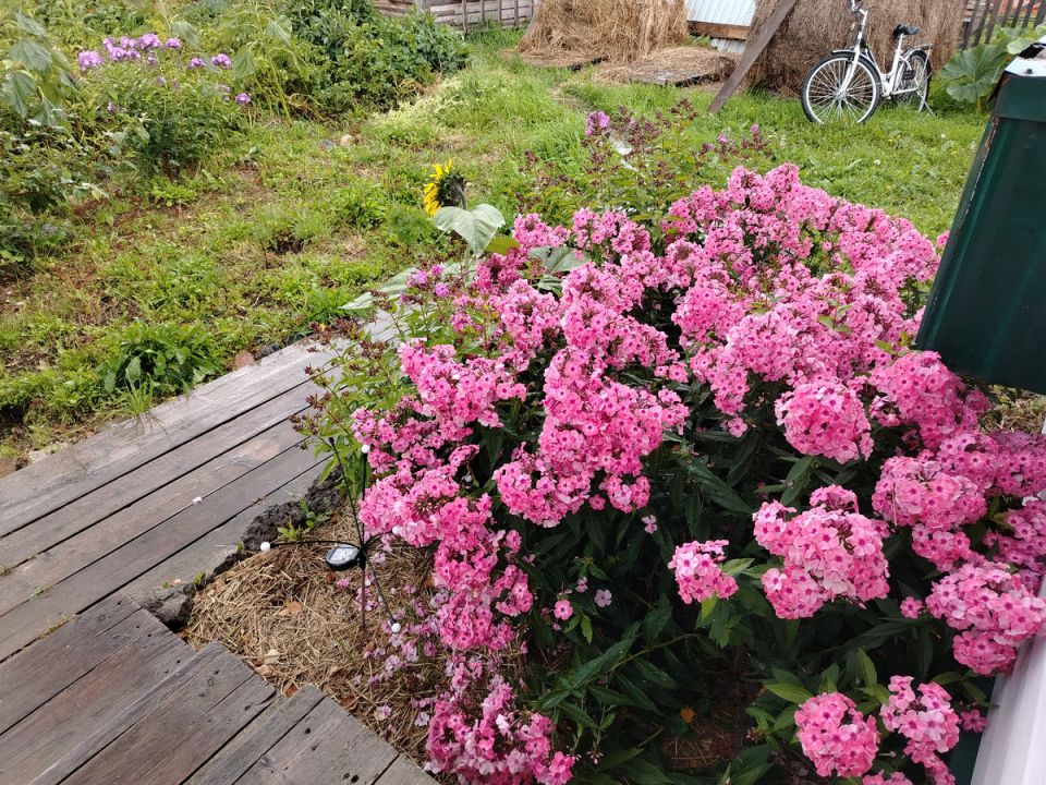 ��� ��������� ������ �������� ����� �� ��������: ������� ��������� �����������