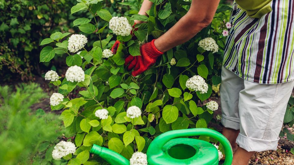 ��������� �������� ��� ���������� �������: ��� ��� ����� ������� � ������ ������