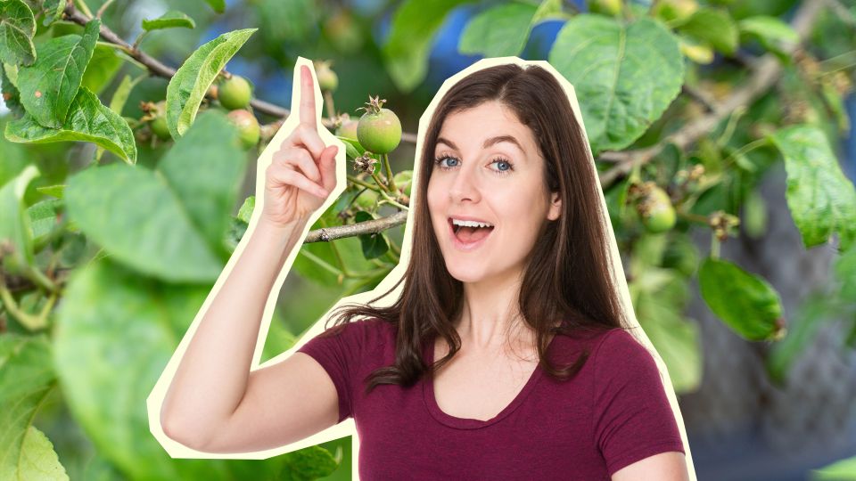 � ����� � ������ ������ �� ����� ������� ������: ������ ������� ��� ��� ��� ���������