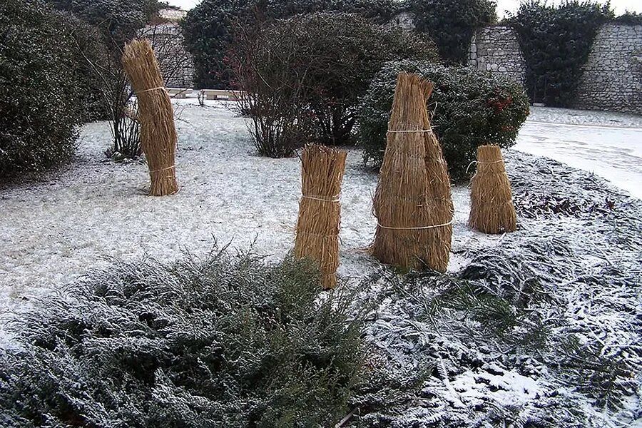 ���������� ���� ��� ������ ���� �� ������� ��� �����