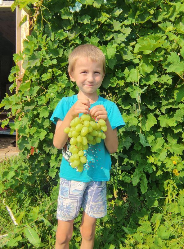 ����������� ����� ��������� ��� ������� ������ ������