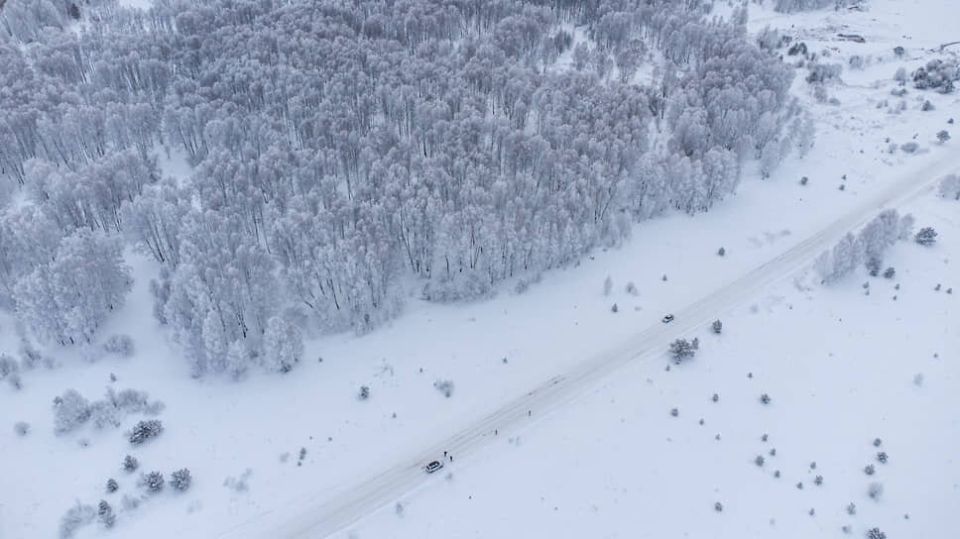 Заповедная реформа: как изменится охрана природы в стране