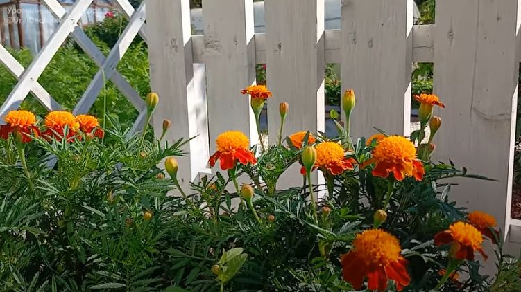 �������������: ��� �� ��������� ������ �� �������