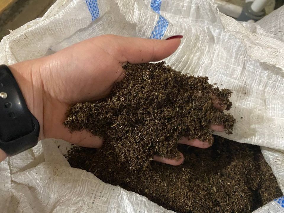 Компост и перегной: выбираем лучшее для вашего огорода