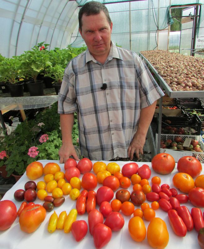 ������������� ����� ������� ���������� ������