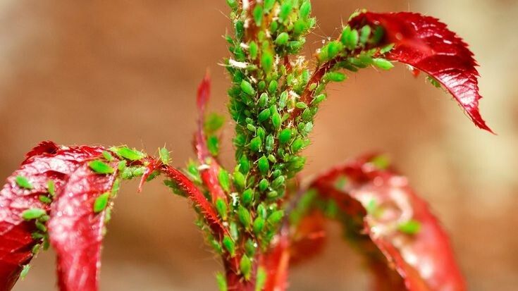 ��� ���������� � ��� �� �����?