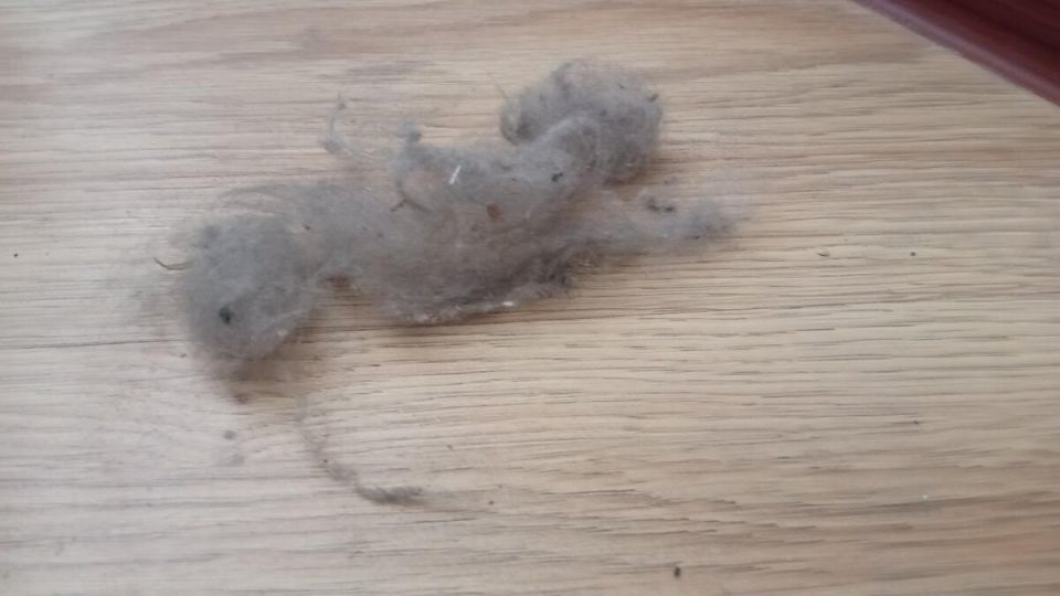 ��� �� ����� �������: 7 ����, ������� ������� �������� ��� ������